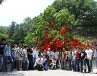紫蓬山之旅—欢迎分公司小伙伴回家